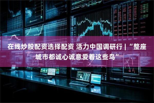 在线炒股配资选择配资 活力中国调研行 | “整座城市都诚心诚意爱着这些鸟”