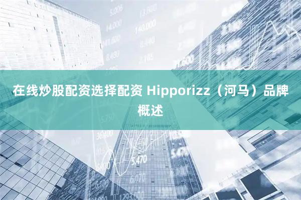 在线炒股配资选择配资 Hipporizz（河马）品牌概述